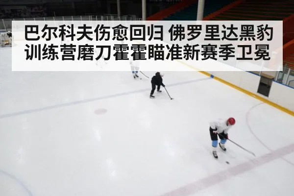 巴尔科夫伤愈回归 佛罗里达黑豹训练营磨刀霍霍瞄准新赛季卫冕