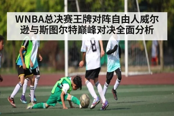 WNBA总决赛王牌对阵自由人威尔逊与斯图尔特巅峰对决全面分析